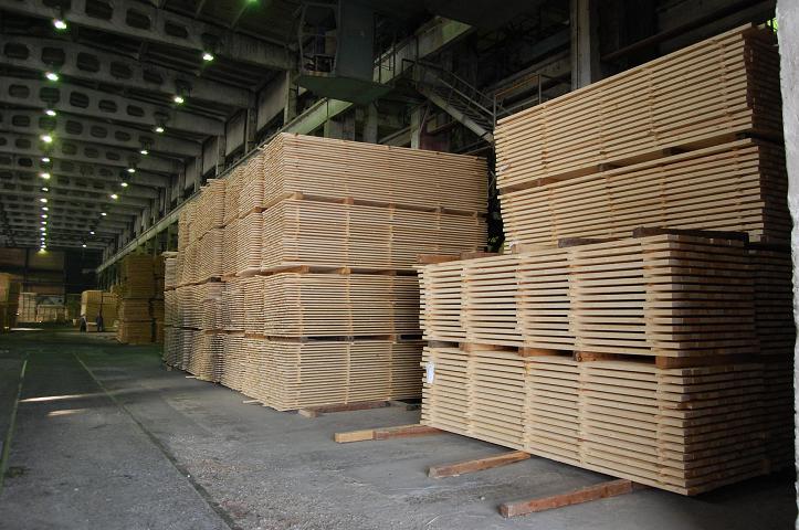 Selespil--4.JPG