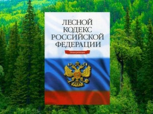Лесной — кодекс: десятилетие изменений