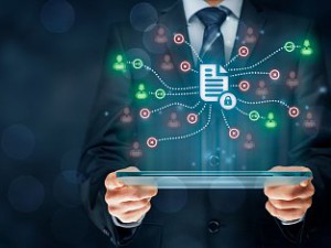 Информацию об учреждениях соцзащиты, образования, спорта и культуры разместят для ИТ-разработчиков
