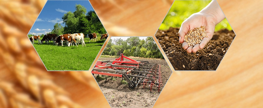 agropromyschlennyi-kompleks.jpg