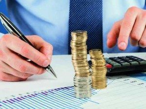 Госдума одобрила наделение ФНС доступом к аудиторской тайне