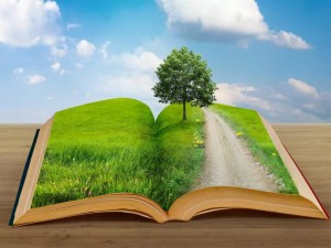 Минфин предложил ввести в России экологический налог взамен существующих сборов  