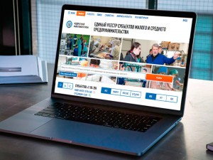 ФНС и Минэкономики согласовали ежемесячное обновление реестра МСП