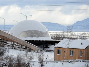 Эксперты высоко оценили работу социальных предпринимателей Норильска.