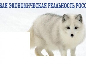 2015 год прошел под знаком новой экономической реальности