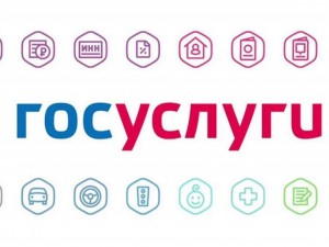 На Госуслугах появилась возможность подать жалобу на нарушение моратория на проведение проверок