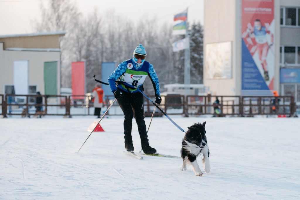 Haski2.jpg