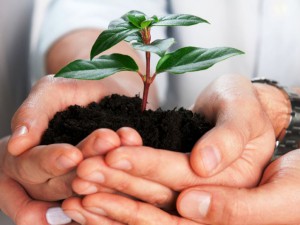 Минэкономики хочет увеличить число малых производственных компаний