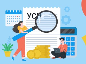 Госдума разрешила плательщикам УСН зачитывать расходы без ограничений