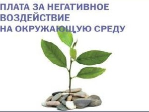 Государство и бизнес согласовали новые размеры платы за негативное воздействие на окружающую среду