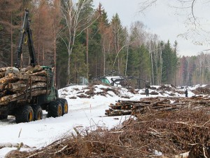Генрокуратура выявила 178 тысяч нарушений в экологической сфере