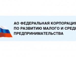 О ходе оказания мер поддержки субъектам малого и среднего предпринимательства АО «Корпорация «МСП» в 2016 году