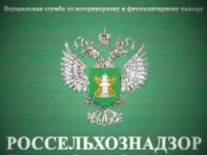 «Снижение нагрузки на бизнес не уравновешено наказанием»